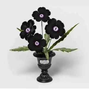 Hyde & Eek Peeping Poppies Planter BRAND NEW